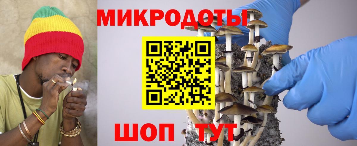 Псилоцибиновые грибы Cubensis Видное